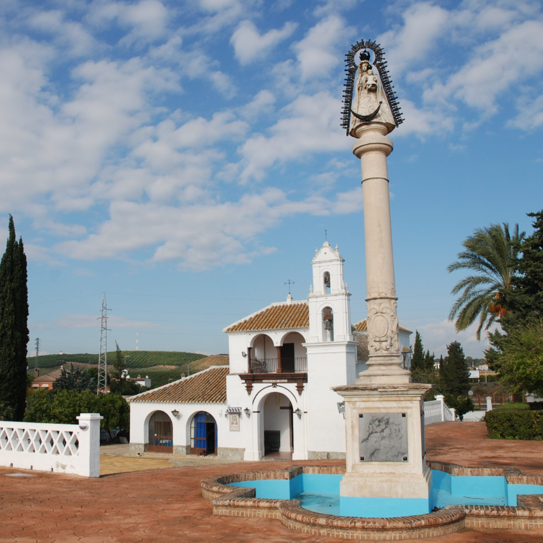 palma del rio