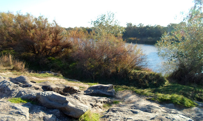 paseo por el guadalquivir