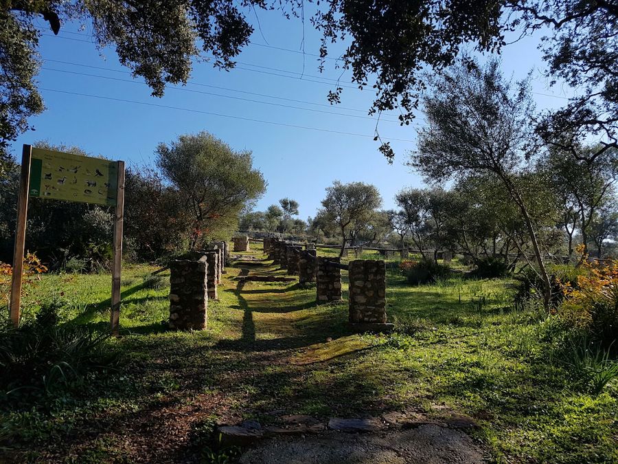 parque-los-cabezos