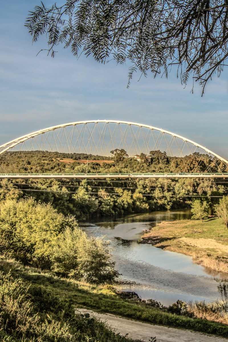 Puente Reina Sofía